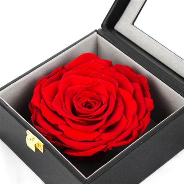 7-8CM Red Preserved Rose Gift Box For Celebration / Gift / Occasion