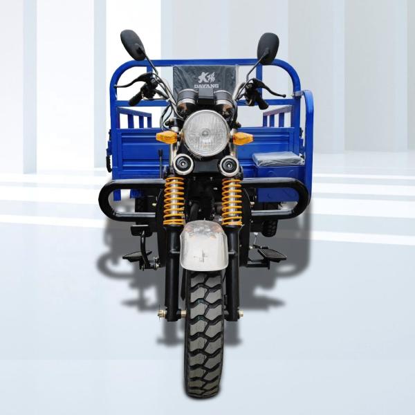 400kg Payload Capacity 200cc Petrol Cargo Tricycle for Cargo Transportation