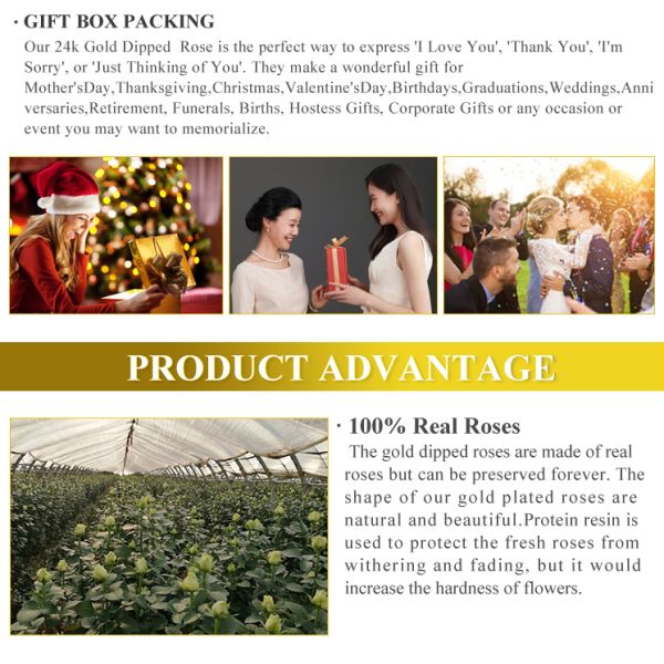 Hot Sale Gold Dipped Real Rose Flower 24k Gold Rose Flower for Graduation and Mother's Day Gifts