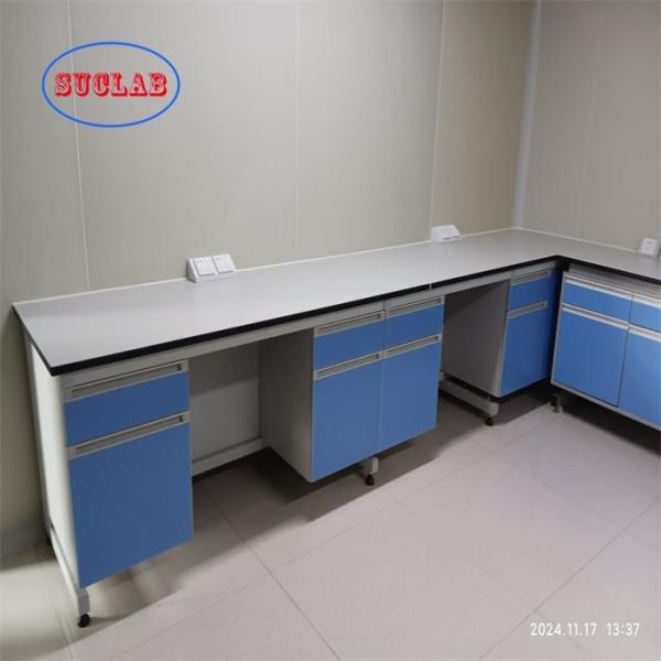 Fast Installation Chemistry Chemical Lab Furnitures Price with Modular Structure and Wood Material