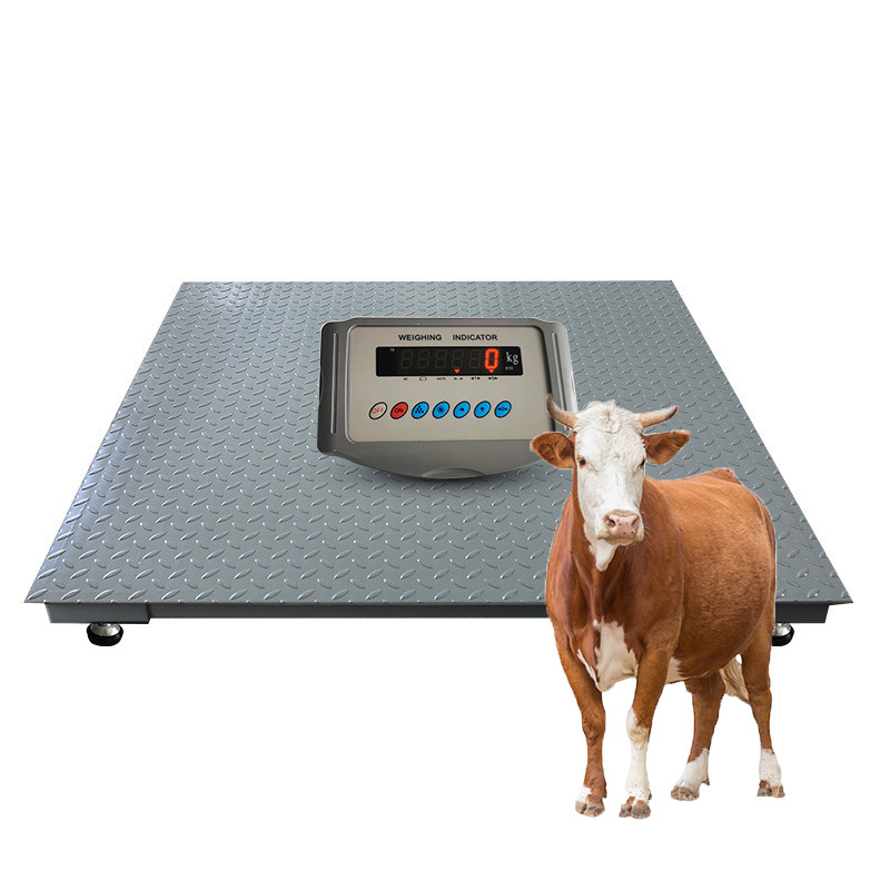 High Precision 500g Floor Scale for Industrial Animal Weighing in Livestock Industry