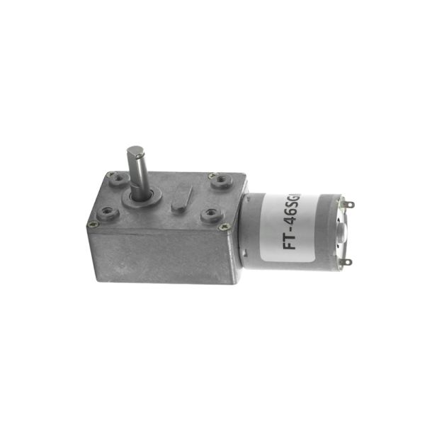 Customization FT-46SGM370 Slow Speed Big Torque Worm Gear Motor  6v 12v 24v Brush DC Motor