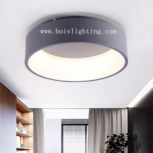 Gray Bedroom Book Room Spray Paint  Acrylic For Ceilibg Lightings And Handelier
