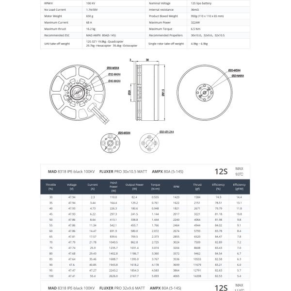 MAD 8318 IPE Бесбросовый постоянный двигатель