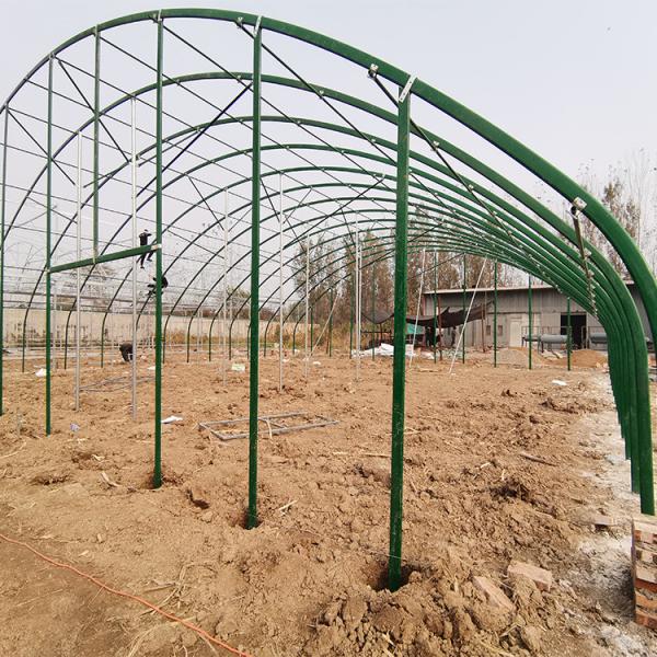 Agriculture Poultry Farming Chicken Heated Greenhouse Automatic