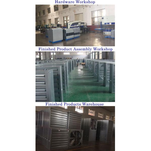 wall mounted motor driven directly exahsut fan ventilation fan