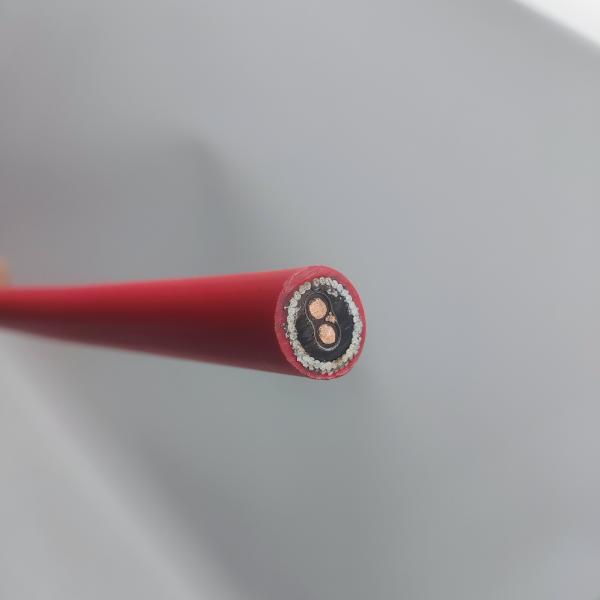 Instrumentation Cable 300/500V 2C2.5 CU/MGT/XLPE/OS/FR/LSZH/GSWA/LSZH 2x2.5
