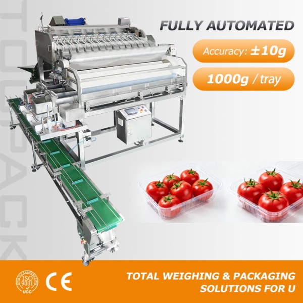 High Speed Blueberry Packing Machine With Multihead Weigher Auto Box Filling System