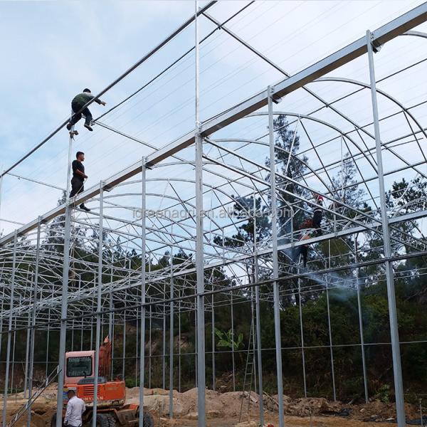 2-5m Shoulder Height High Tunnel Sawtooth Greenhouse for Commercial Plant Cultivation
