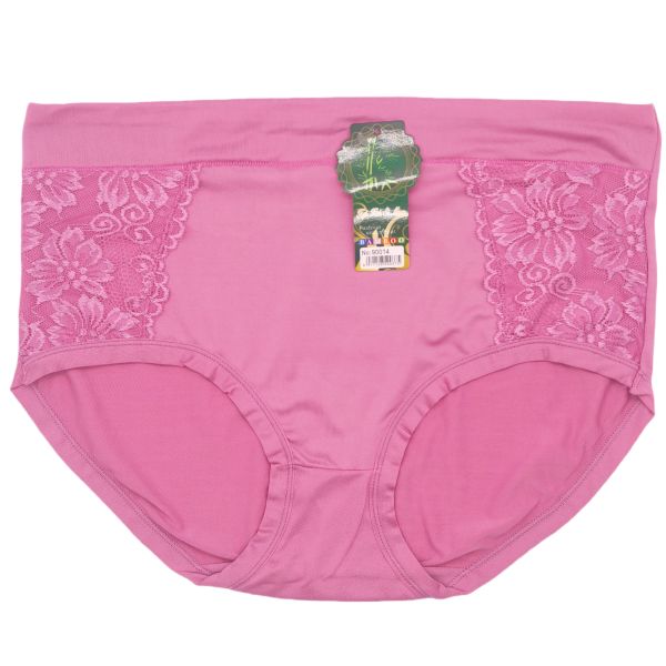 Women 3XL Briefs High Quality Large Size XXXL One Size Brief Panties 10PCS/PACK Ready to Ship Women Panties XXXL