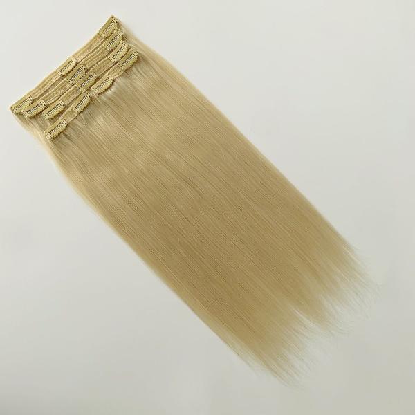 Shipping Cost and Delivery Time for 20 Inch 22 Inch Clip Ins Remy Hair Extensions