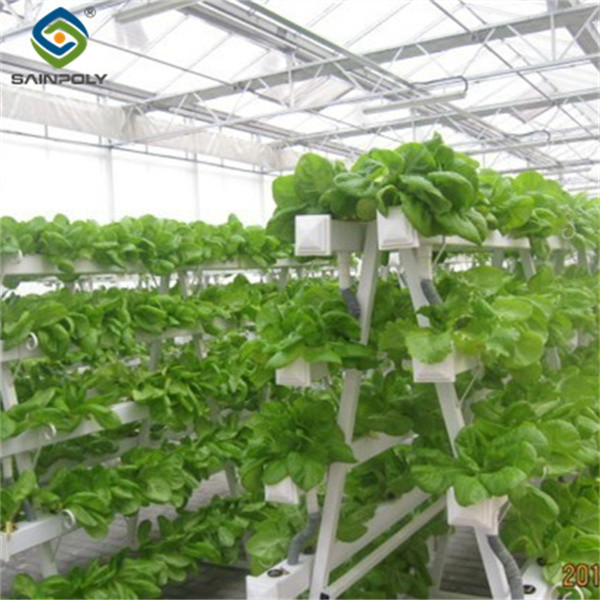 Weather Resistance Hydroponic System Greenhouse Multispan For Planting