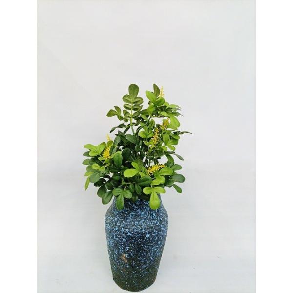 Оформление таблицы сада дома Буша Gardenia высоты 20CM искусственное