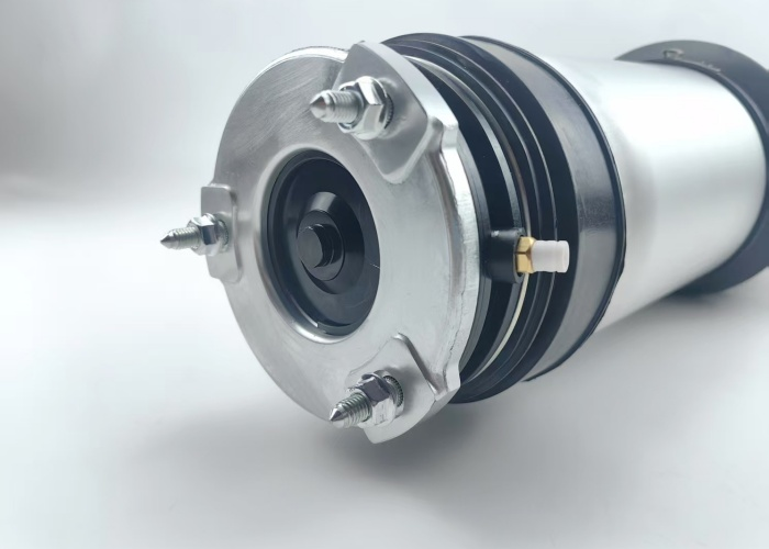 Rear Adjustable Air Shock Absorber RWD For Tesla Model S 2016-2020 1067466-00-D