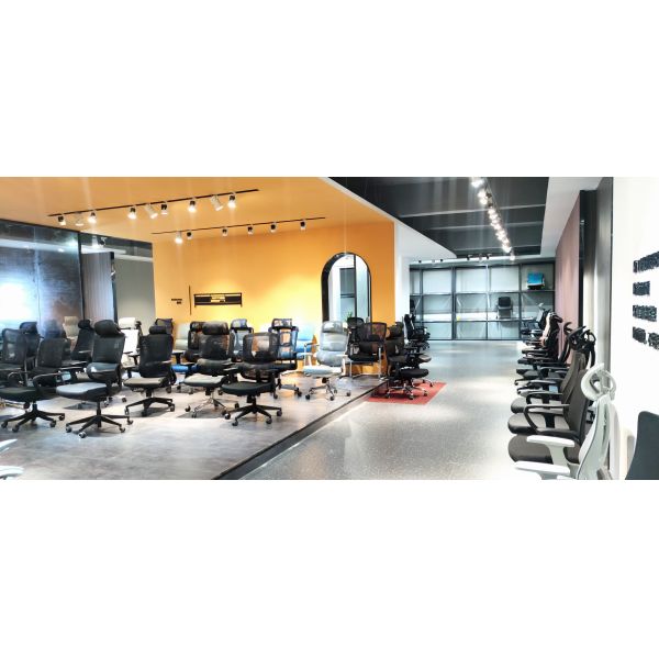 Staff Ergonomic Swivel Office Chair With Adjustable Lumbar Cushion