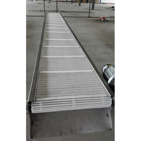                  Plastic Conveyor Belts with 27.2mm Pitch for Cartons Processing Industry             