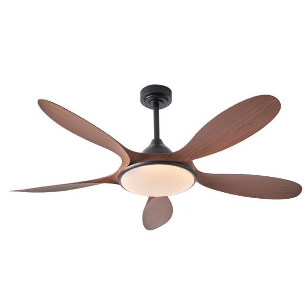 Ventilateur de plafond LED 5 lames ABS moteur silencieux LED éclairage Ventilateur de plafond intelligent avec télécommande