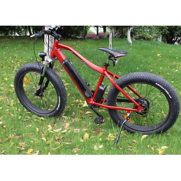 350w/36V Электровелосипед Эбике Горный велосипед Толстый велосипед Снежный велосипед Задний двигатель узла