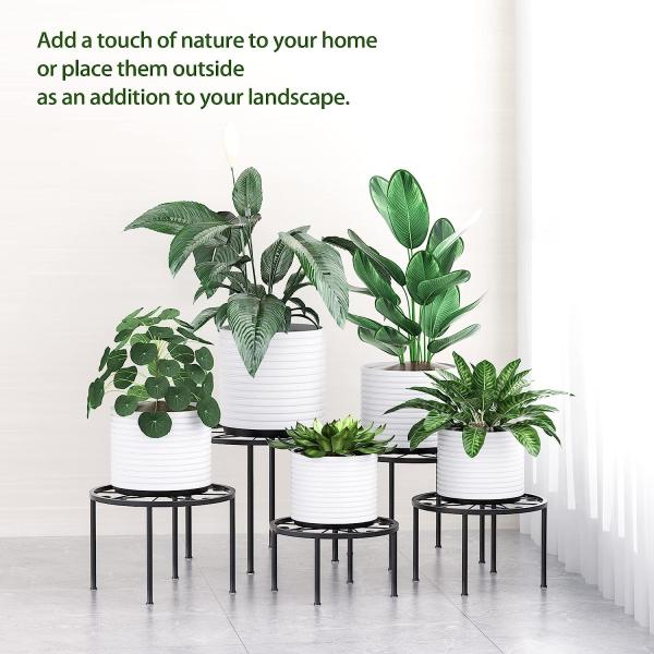 Flores/plantas verdes usadas para decoração de casa e jardim