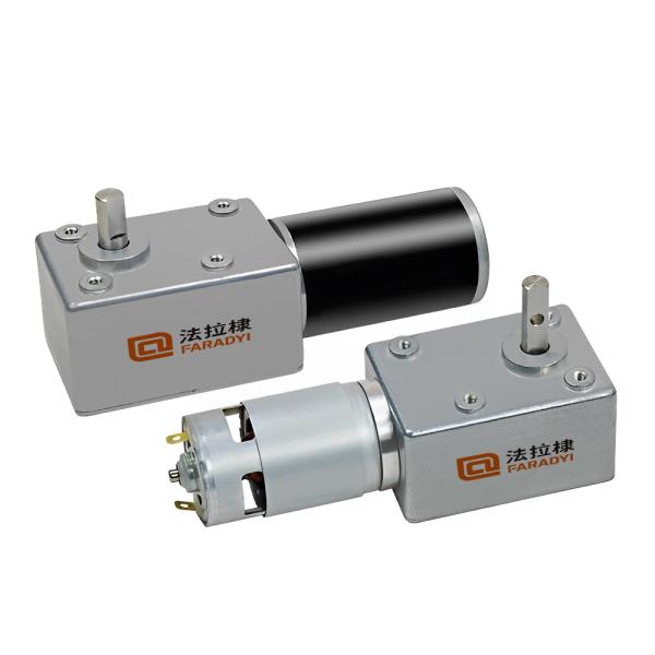 Faradyi Customized 12V 24V 5RPM 16RPM Electric Brushless Mini Dc Worm Gear Stepper Motor Self-lock Gearbox Cw/Ccw
