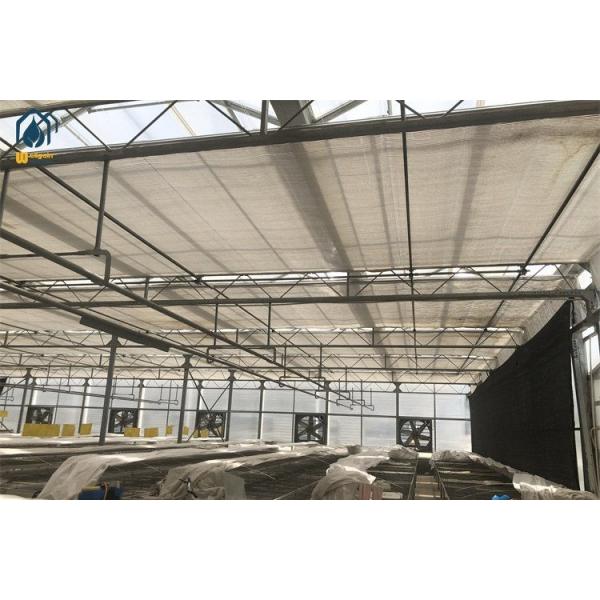 UV Resistant Polycarbonate Greenhouses Agriculture Heavy Duty Greenhouses With Precision Climate Control