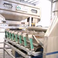 Le CE a certifié la noix de pécan de fissuration sèche écossant la capacité 220V d'écrous de la machine 100000 disponible