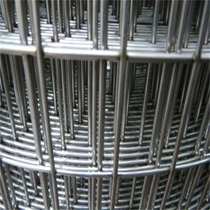 Stainless Steel Welded Wire Mesh with Corrosion Resistance, 1-30m Length, and 0.5-12mm Wire Gauge