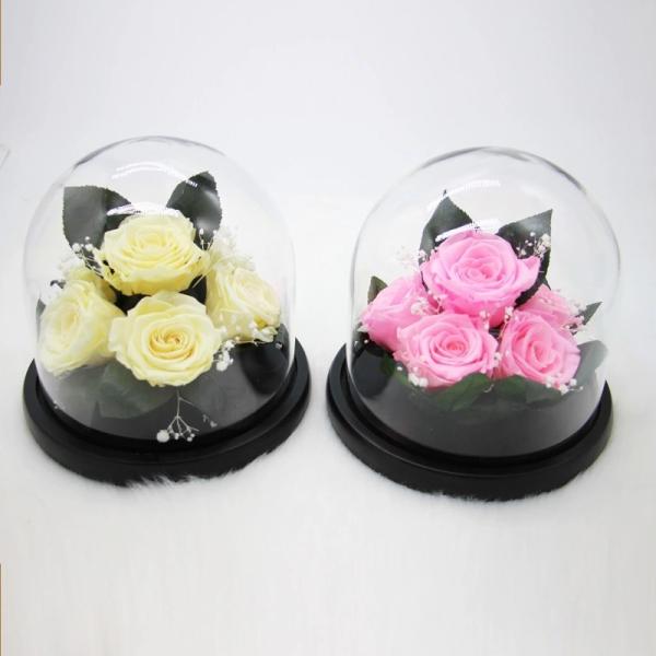 Real Preserved Rose in Glass Dome  use for Office gift or Home Decoration