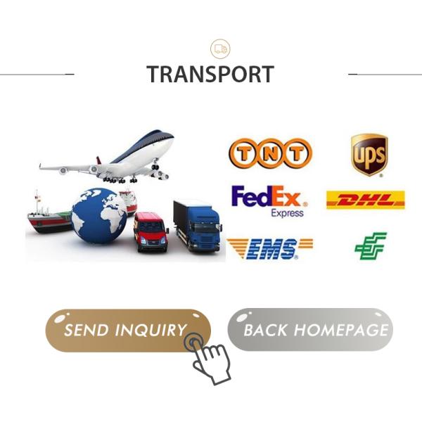 Luxury Traditional 5-6 Person Himalayan Salt Dry Sauna