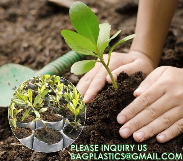 Nursery Growing Bags Large, 7.8x8.6 inches Biodegradable Fabric Seedling Grow Bag, Seed Starting Pots Pouches