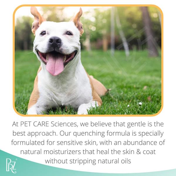 Sensitive Skin Oatmeal Dog Shampoo And Conditioner With Aloe