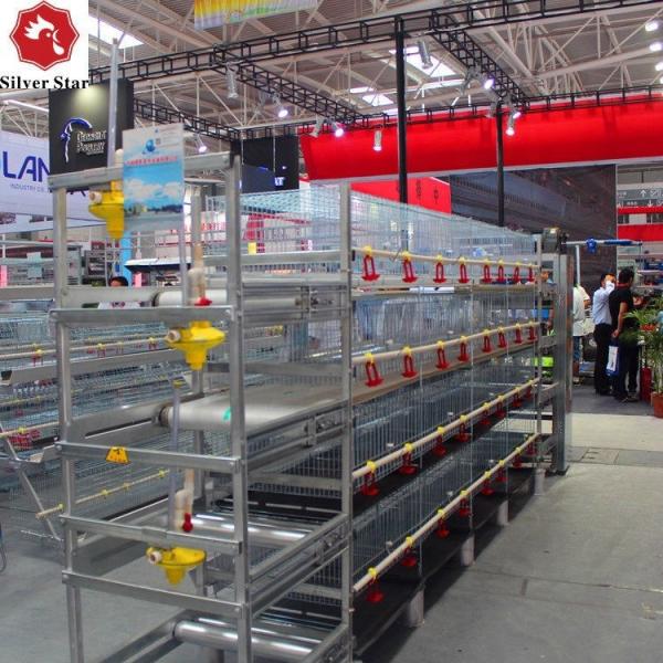 Tipo equipamento de H de cultivo das aves domésticas da gaiola do criador da bateria da galinha 4 séries