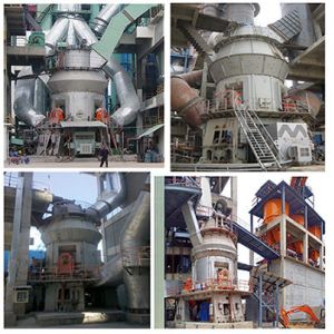 Размер мельницы ролика сырья вертикальный ориентированный на заказчика