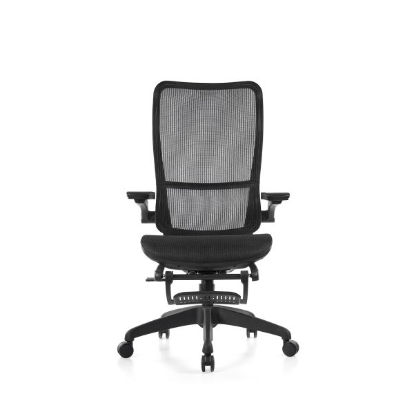 Ergonomic Office Executive Chair Lifting Equipped with Lumbar Support Adjustable Seat Height and Smooth Rolling Wheels for Office With Footrest Lunch Break