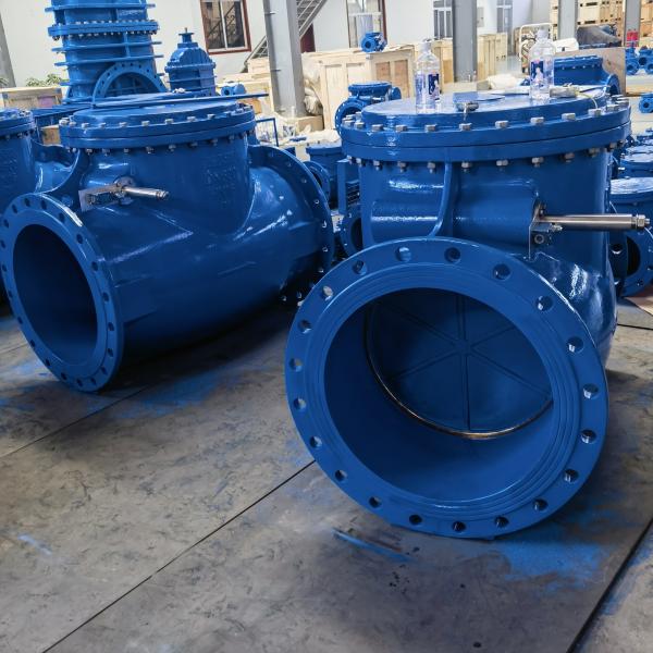 Metal Seat Swing Check Valve 16 Inch DN400 with PTFE Gasket for Water Air Oil