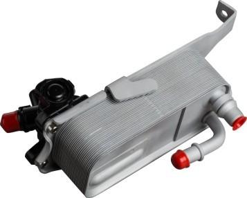 17217600553 BMW Oil Cooler Replacement Bmw Car Parts For BMW 230i 328I N20