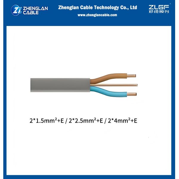 300/500v Twin Electrical Cables with Earth Wire Flat Electrical Wires CU/PVC/PVC with bare earth wire 2x2.5+1.5mm2