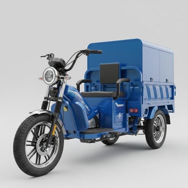 Disc Brake Type Electric Cargo Tricycle Featuring 151 to 200cc Displacement and 450 10 Vacuum Tyre Ideal for Urban Delivery Services