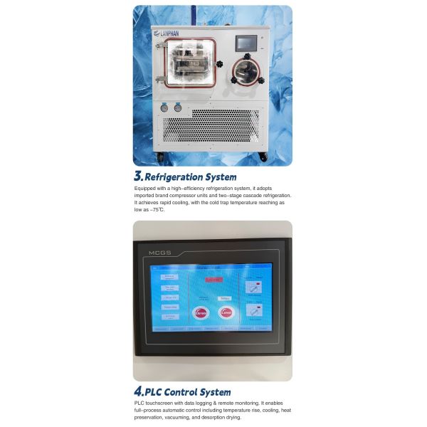 Small Scale Pharmaceutical Freeze Dryer Vacuum Drying Machine for Scientific Labs