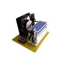 Ozonizador portátil de 10 g com placa integrada e ventilador para gerador de ozônio