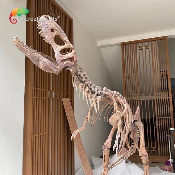 Waterproof Fiberglass Dinosaur Skeleton Replicas For Museum Exhibition