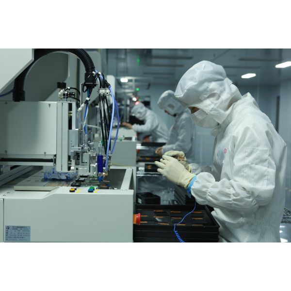 Elite Tree Technology