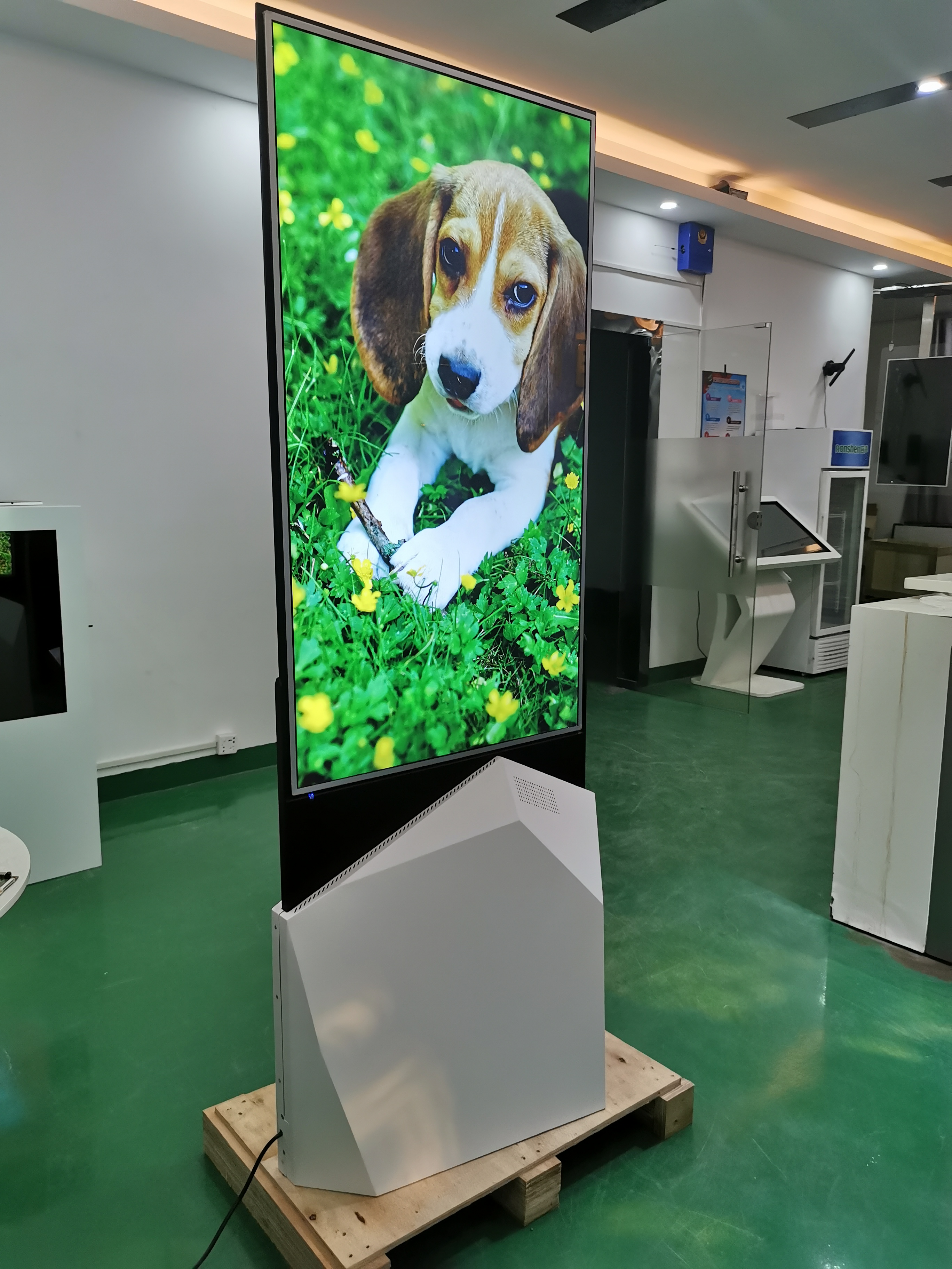 OLED 55