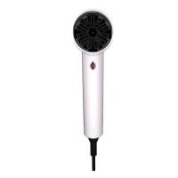 Secador de cabelo Solon 1800W Alta Velocidade Íon Negativo Íon Elétrico Iônico Secadores de cabelo Profissionais