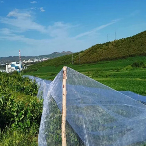 Anti Garden Netting Fine Mesh Crops Protection Netting