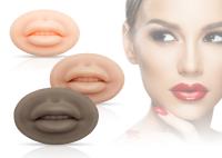 simulation permanente de doux de la peau 7.8cm*5.1cm de pratique en matière de tatouage de maquillage de lèvre du silicone 3D