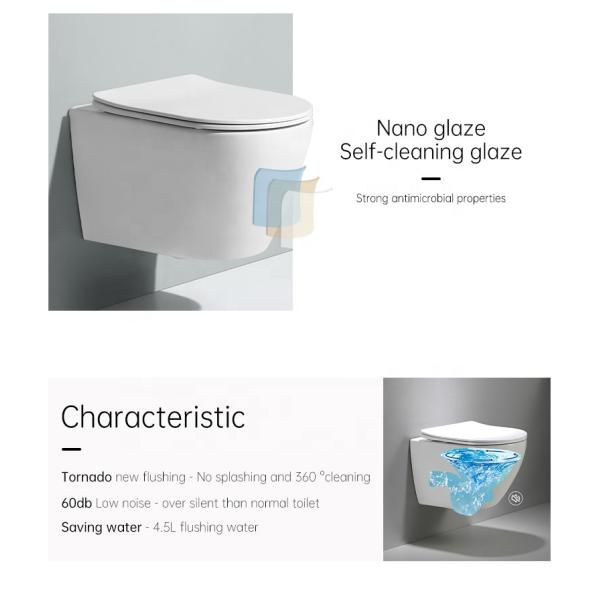 ROHS European Wall Mounted Toilet Bowl