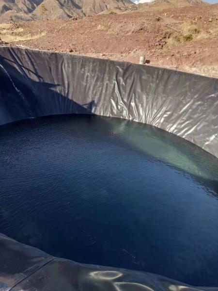 HDPE Geomembrane Artificial Pool Fish Pond Lake Tank Liner for Onsite Training Service