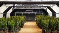 Light Deprivation Greenhouse Dimensions Mushroom Herb Grow Shading Dep Greenhouse