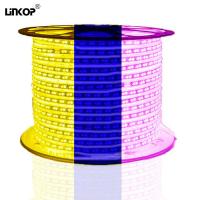 High Brightness Ip68-Rated Dual-Color Light Strip To Meet Your Business Needs